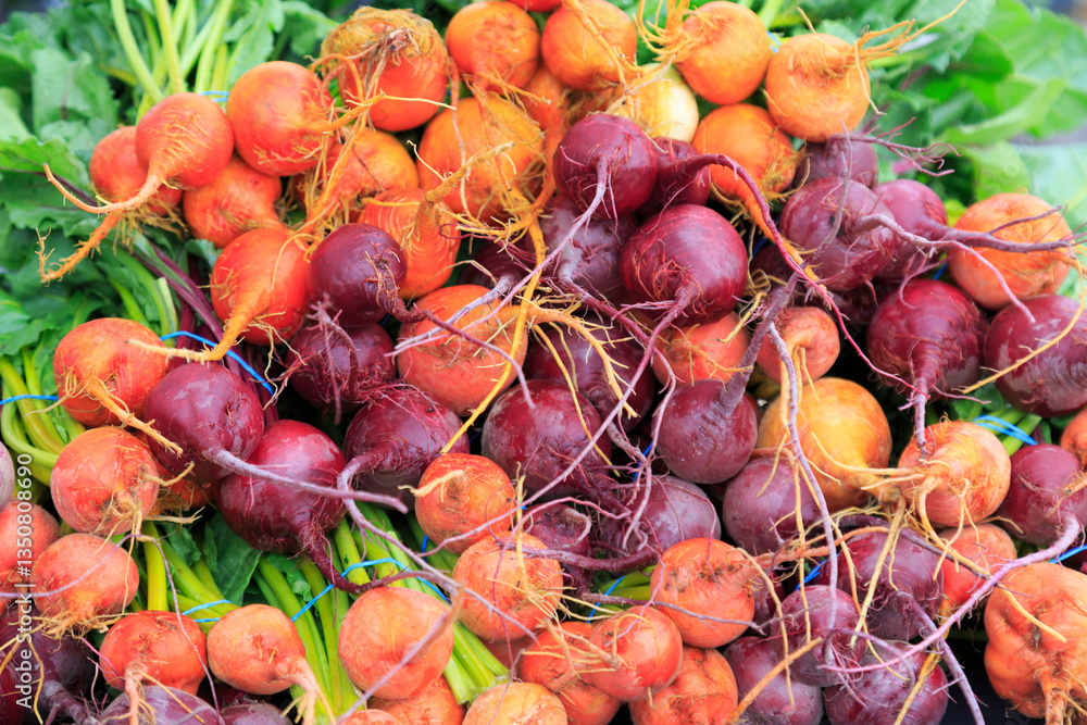 North America, United States, Oregon, Central Oregon. The Bend Farmers Market. Colorful radishes.
