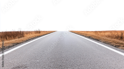 Empty country road with foggy background