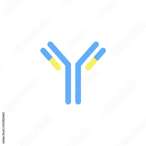Antibody anatomy. Immunoglobulin Structure. Adaptive immune response. Vector illustration. 