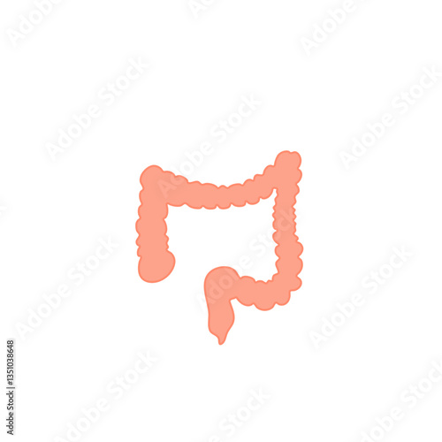 Appendix Anatomy Science. Vector Illustration