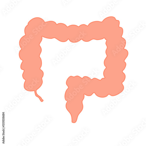 Appendix Anatomy Science. Vector Illustration