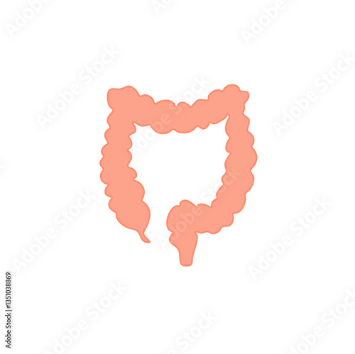 Appendix Anatomy Science. Vector Illustration