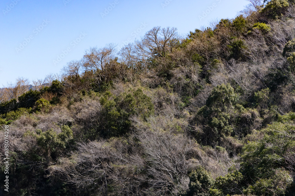 日本周遊 和歌山県有田市みかん街道をゆく 日本周遊 和歌山県有田市みかん街道をゆく