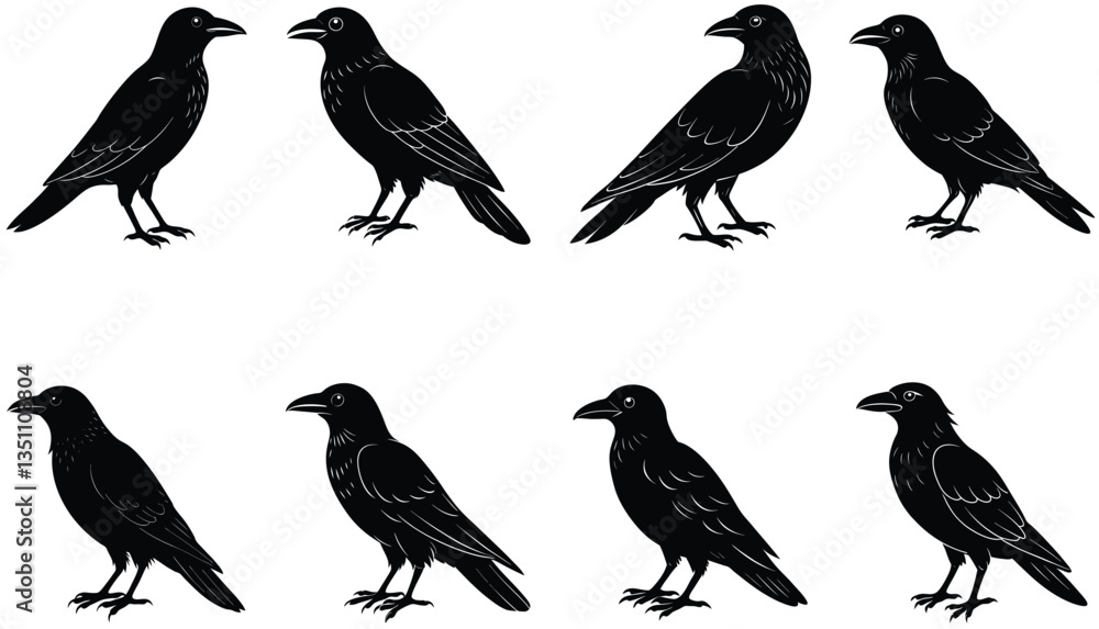 Fototapeta premium Crows Vector Shilhouette Bundle Set Collection