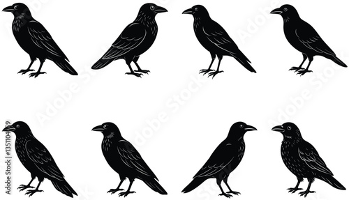 Crows Vector Shilhouette Bundle Set Collection