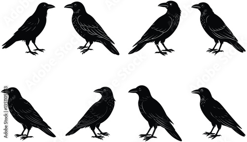 Crows Vector Shilhouette Bundle Set Collection