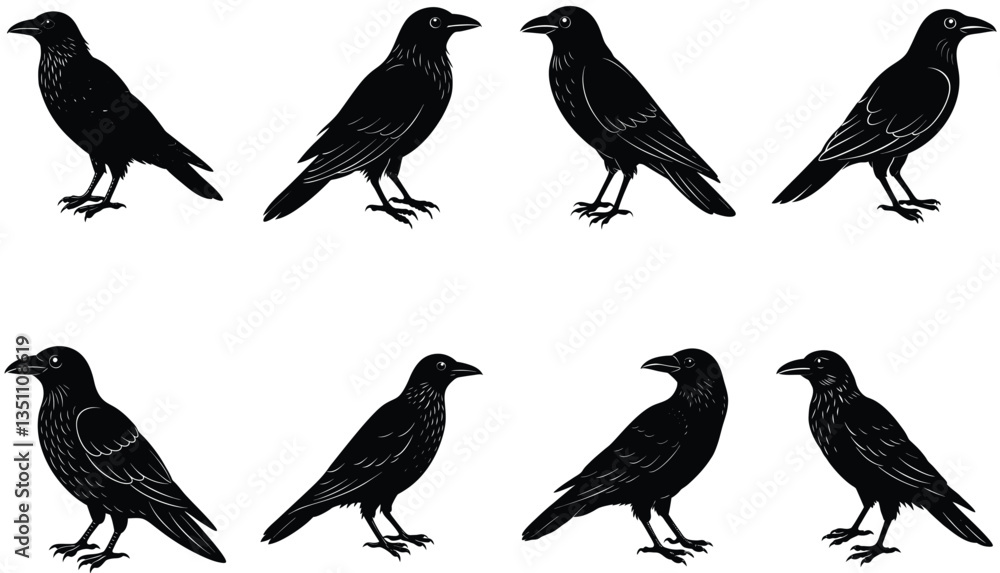 Fototapeta premium Crows Vector Shilhouette Bundle Set Collection