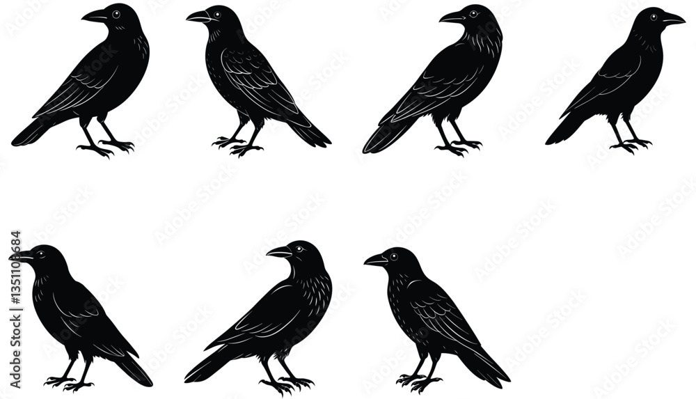 Fototapeta premium Crows Vector Shilhouette Bundle Set Collection