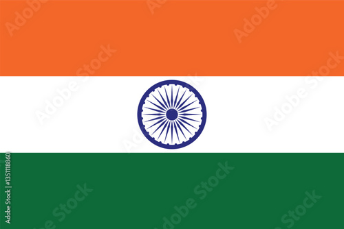 National flag of India vector image