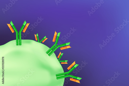 Antibody molecule. Immunoglobulin. Humoral immunity. Adaptive immune response. 