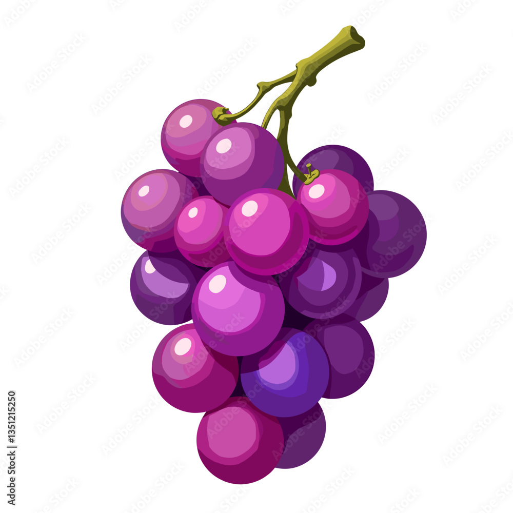 Fresh purple grapes on a white background, healthy lifestyle