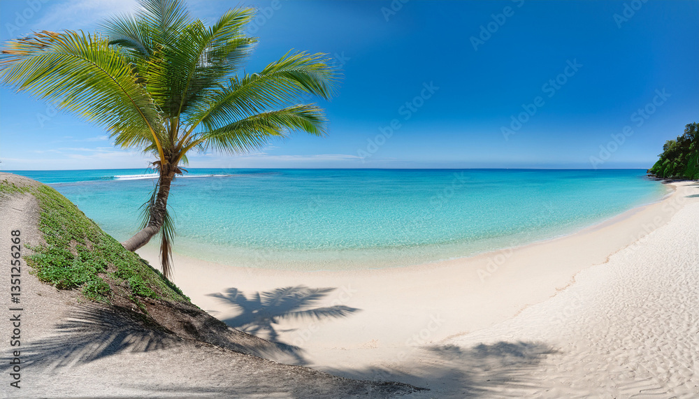 Obraz premium Un paisaje relajante en una playa del caribe con arena fina, palmera y un mar azul turquesa,