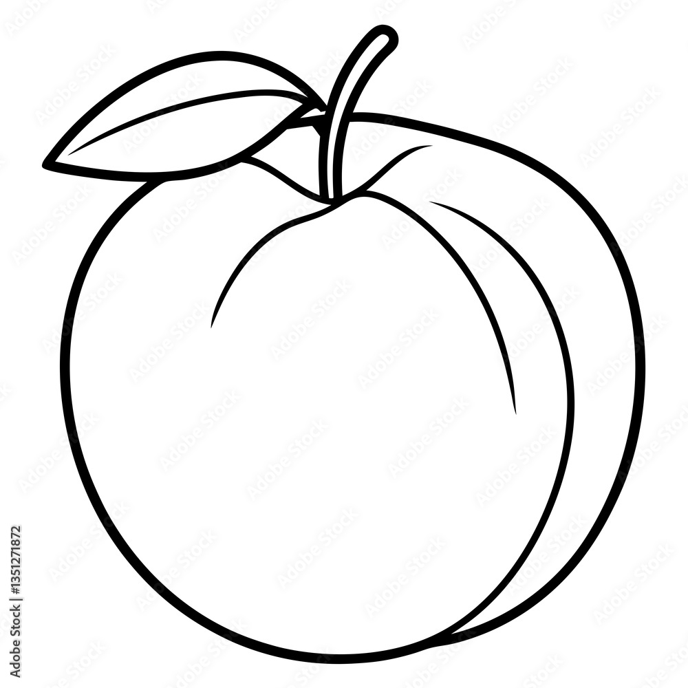 Peach Line Drawing in Minimalist Style, White Background Peach Line Drawing in Minimalist Style, White Background