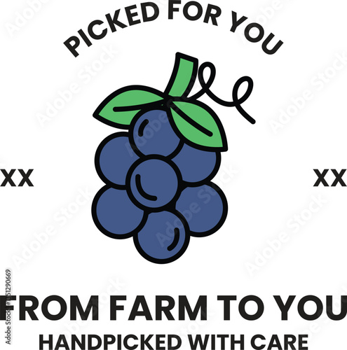 handpicked blueberry with a leaf