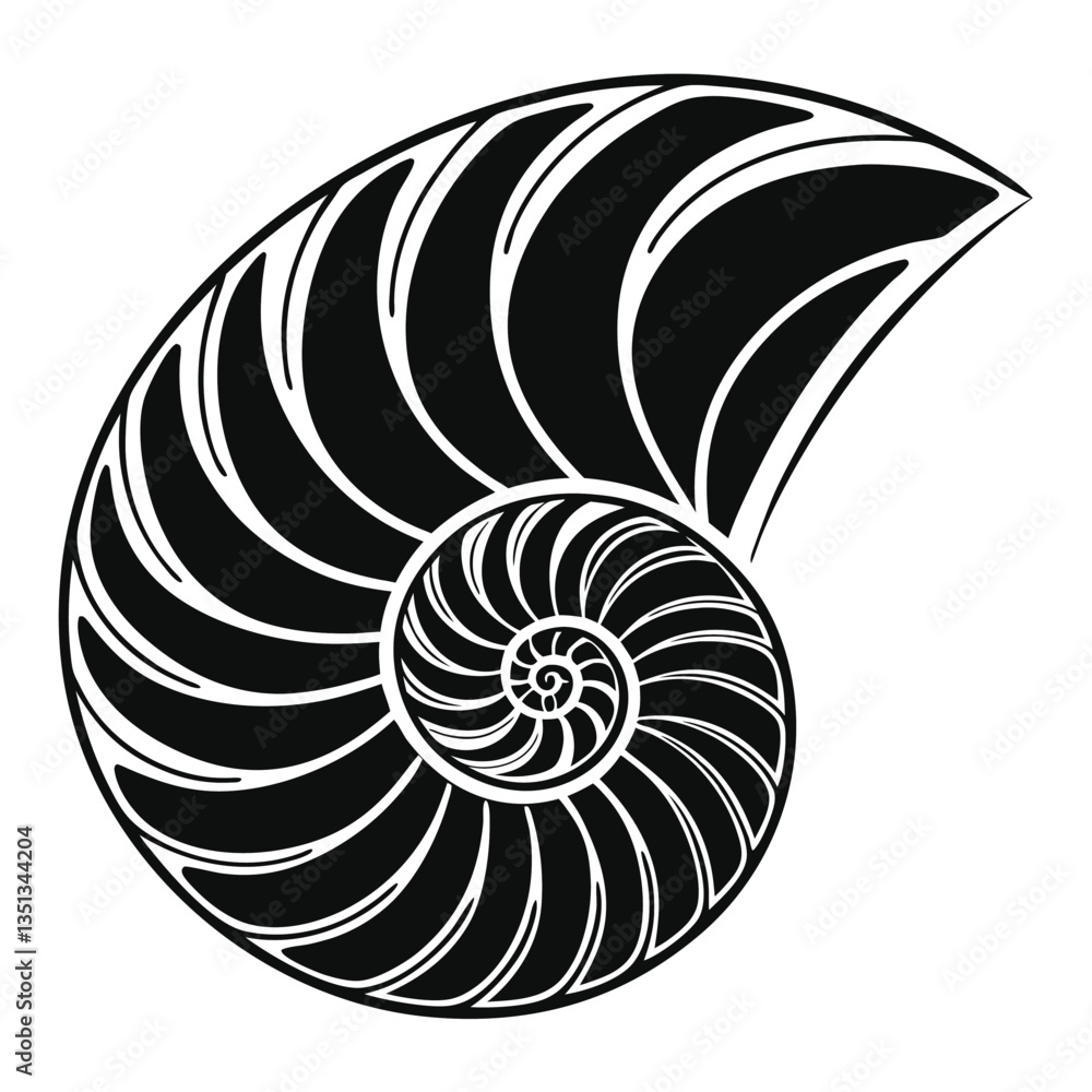 Spiral Seashell with Crescent Moon Patterns - Black and White Vector Illustration Spiral Seashell with Crescent Moon Patterns - Black and White Vector Illustration
