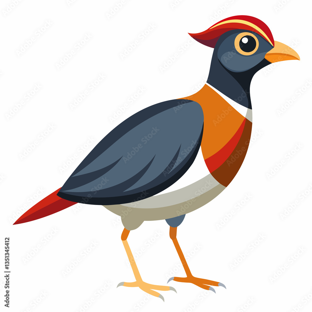Obraz premium Vector illustration of a bird with feathers and beak on a white background