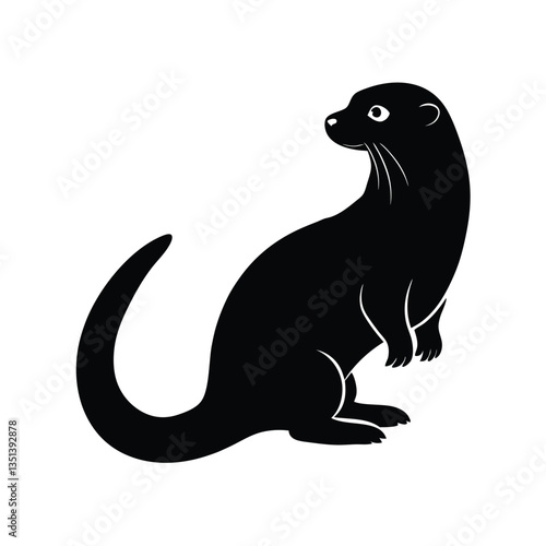 sea lion vector illustration