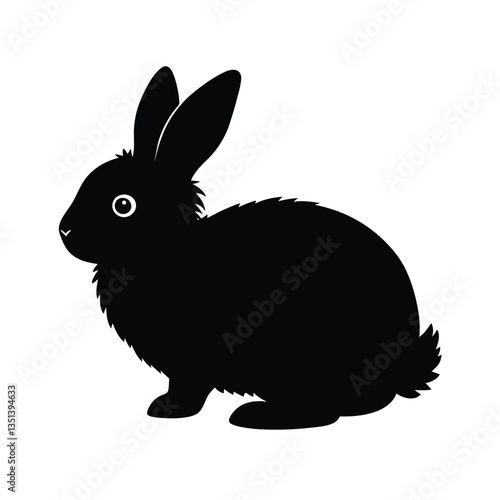 black rabbit isolated on white background