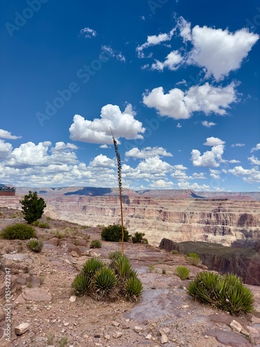 Grand Canyon West