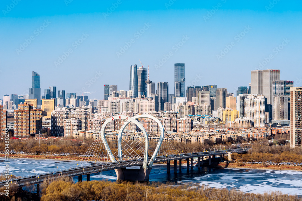 Fototapeta premium High angle view of Sanhao Bridge and city skyline in Shenyang, Liaoning Province, China