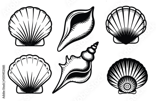 Collection of black and white seashell illustrations