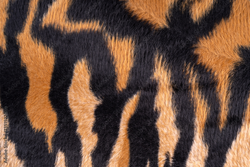 Close up of tiger fur texture background Close up of tiger fur texture background
