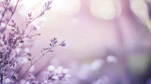 Soft Lavender Flowers in Dreamy Pink Light