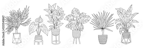Set of Houseplants outline drawings. Indoor exotic flowers in pots line art. Dracaena, monstera, strelitzia, yucca for home interior plans, design. Vector illustrations on transparent background.