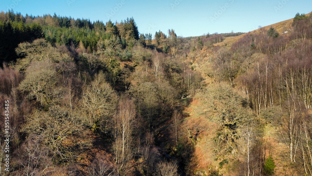 Fototapeta premium autumn in the mountains