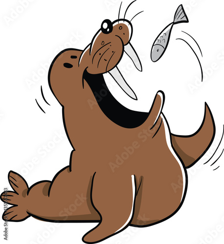 big fat walrus eating fish
