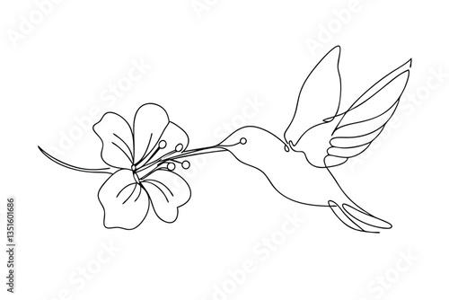 Hummingbird feeding on hibiscus flower, single line art, nature, tropical, elegant, minimalist, draw
