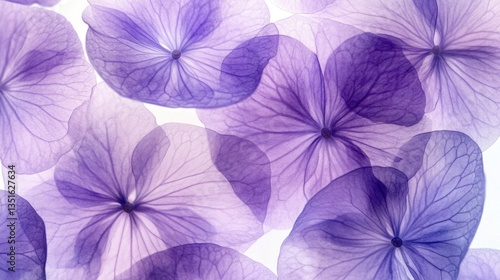 Wallpaper Mural Layered purple flower petals Torontodigital.ca