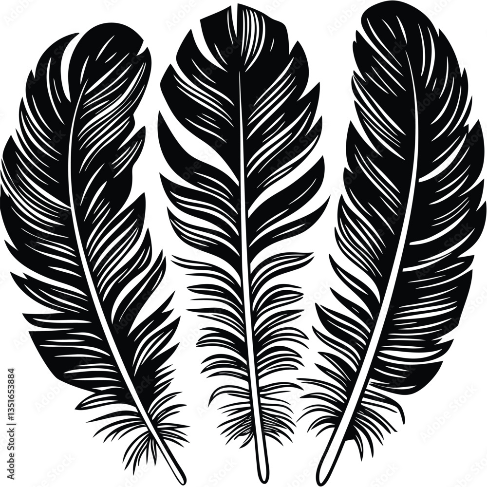 Obraz premium Feathers silhouette set vector image (33).eps