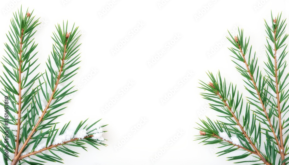 Snow-touched pine branches in minimalist design, winter tranquility Snow-touched pine branches in minimalist design, winter tranquility