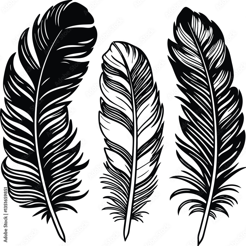 Obraz premium Feathers silhouette set vector image (11).eps