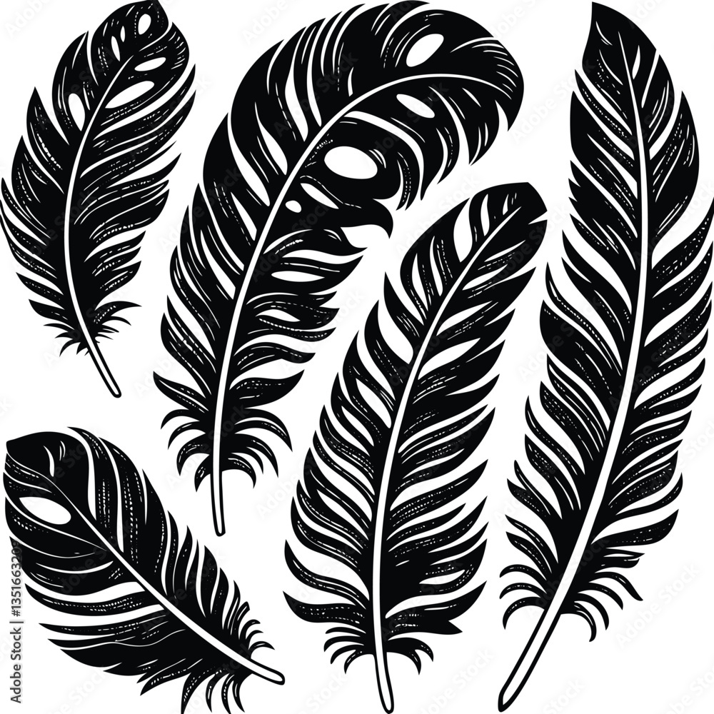 Obraz premium Feathers silhouette set vector image (23).eps