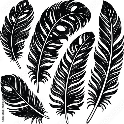 Feathers silhouette set vector image (23).eps
