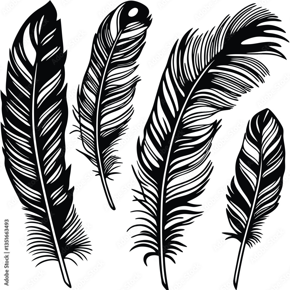 Obraz premium Feathers silhouette set vector image (24).eps
