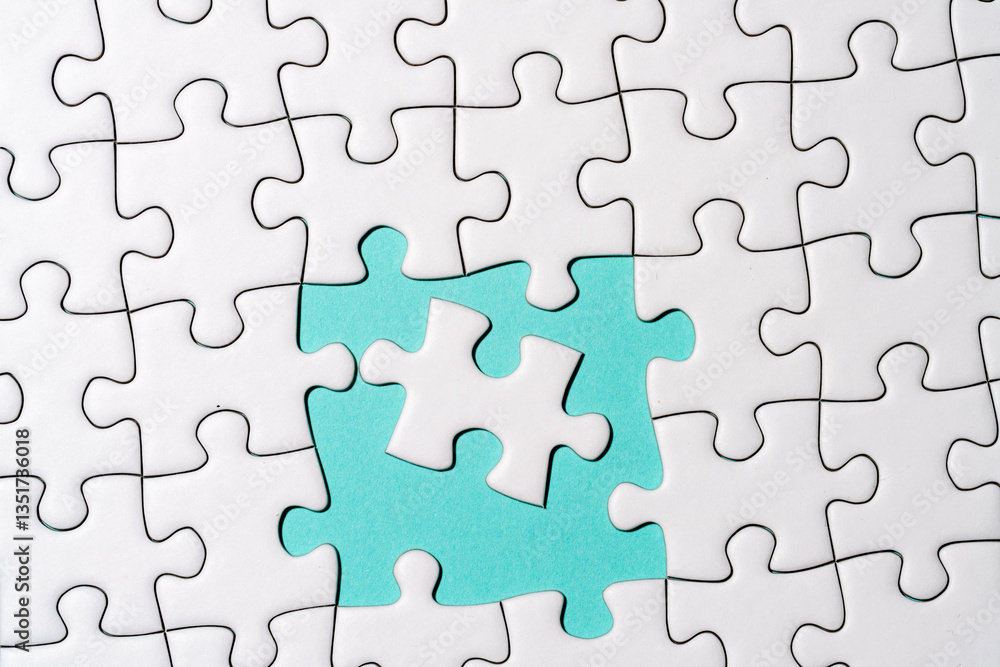 Jigsaw Puzzle Jigsaw Puzzle