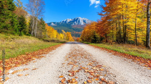 Autumnal Gravel Road Through Colorful Forest To Mountains