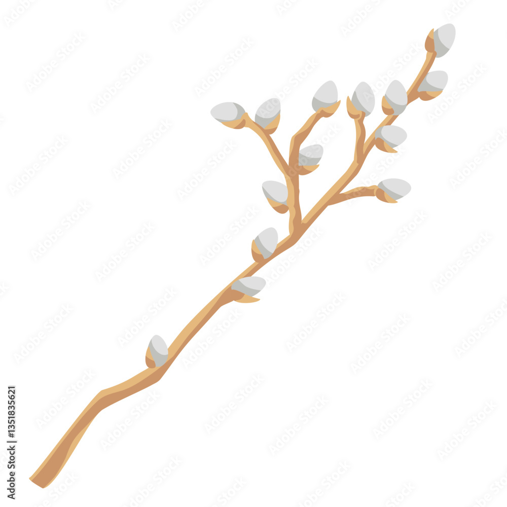 Fototapeta premium willow branche with soft fluffy catkins