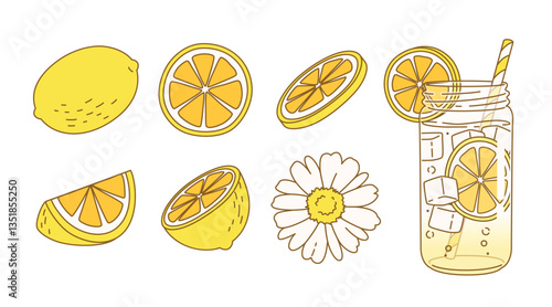 Set of A variety of lemon element illustration. Bright yellow tones. It is a cartoon illustration that is cute, sour and refreshing. Idea for print, cartoon, card, decoration and sticker.