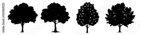 beech tree icon, beech tree silhouette vector illustration-simple silhouette illustration of beech tree, perfect for beech tree logos and icons