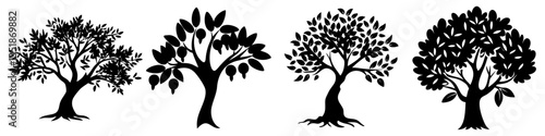 olive tree icon, olive tree silhouette vector illustration-simple silhouette illustration of olive tree, perfect for olive tree logos and icons