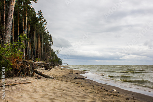 Fotografi view of the Curonian Spit in Kaliningrad Oblast, Russia