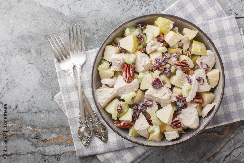 Fresh autumn salad with chicken, celery, apple, pecan and dried cranberries close-up in a bowl on the table. Horizontal top view from above
