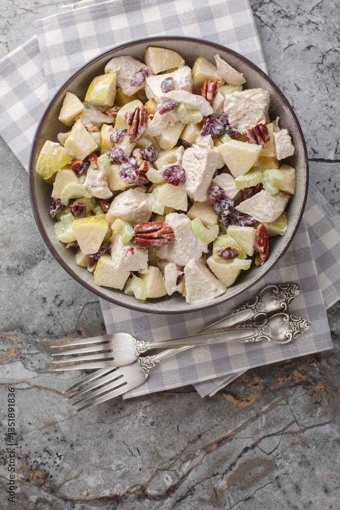 Fall Chicken Salad with crisp apples and celery, savory pecans, sweet cranberries and a creamy flavorful dressing close-up in a bowl on the table. Vertical top view from above