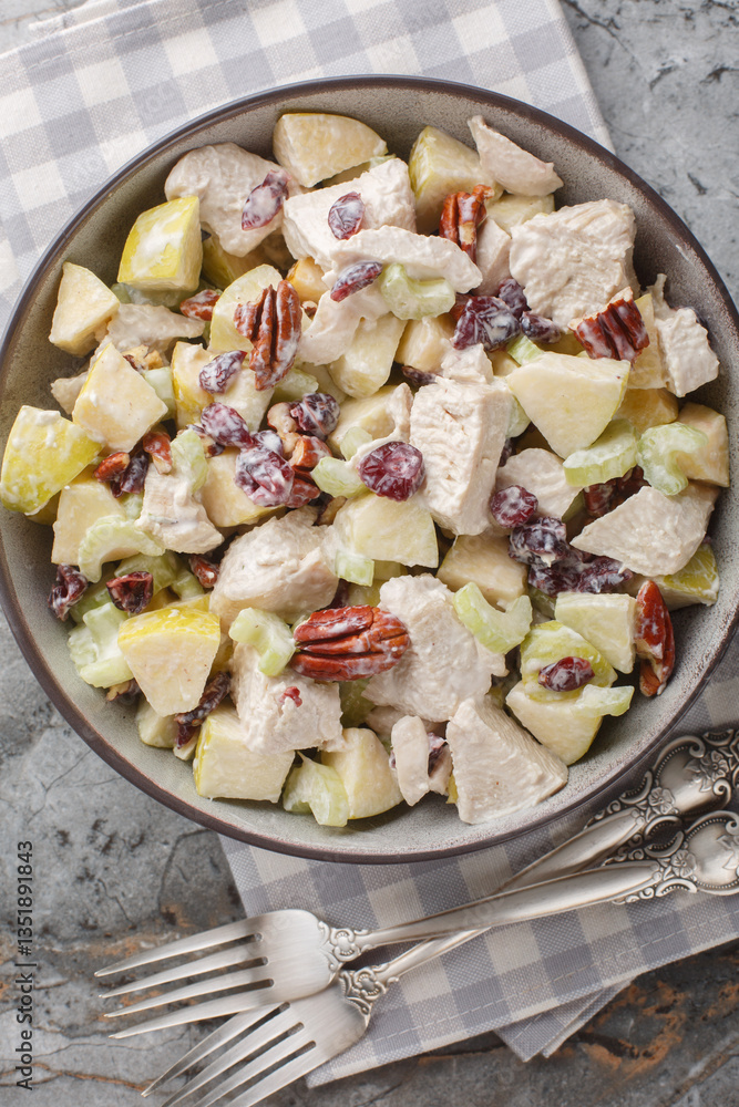 Autumn chicken salad with celery, apple, pecan, and cranberry close-up in a bowl on the table. Vertical top view from above