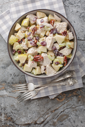 Fall Chicken Salad with crisp apples and celery, savory pecans, sweet cranberries and a creamy  flavorful dressing close-up in a bowl on the table. Vertical top view from above