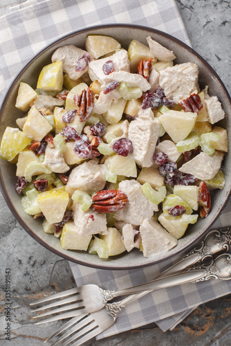 Obraz na płótnie Autumn chicken salad with celery, apple, pecan, and cranberry close-up in a bowl on the table. Vertical top view from above w salonie